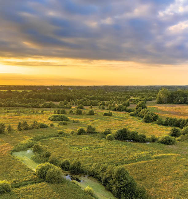 Aerial view of green grassland river valley of Westerstroom creek in Benneveld, Drenthe Province, the Netherlands.